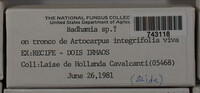 Image Associated With the Occurence